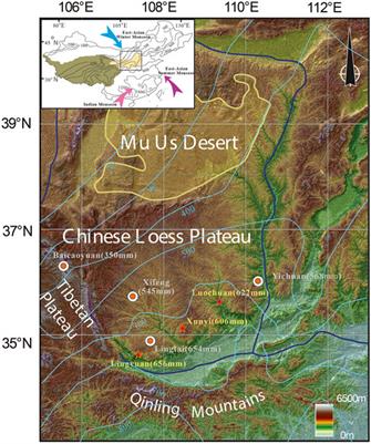 An Attempt to Recover a Paleomonsoon Signal in the Chinese Loess Plateau Using Anisotropy of Magnetic Susceptibility